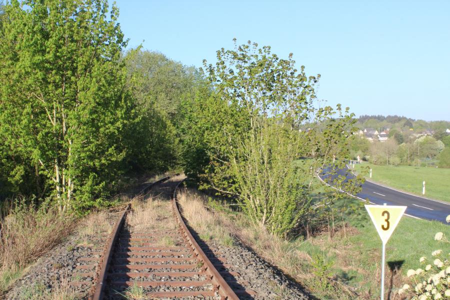 Höchstberg - Ulmen