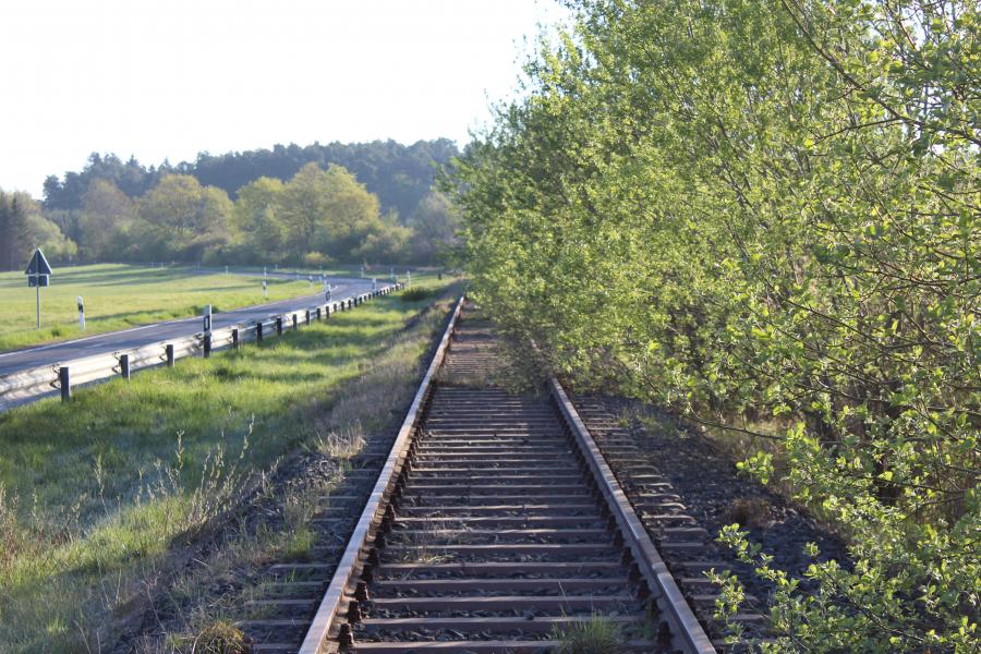 Höchstberg - Ulmen