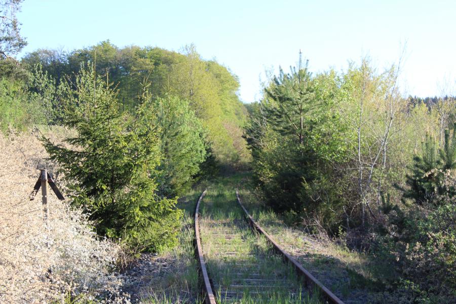 Höchstberg - Ulmen