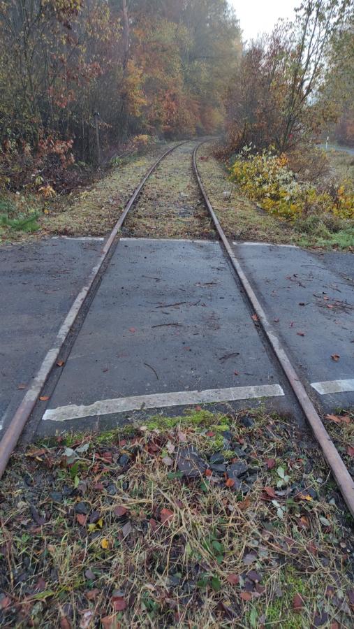 Höchstberg - Ulmen