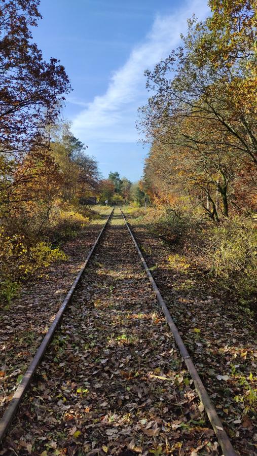 Höchstberg - Ulmen