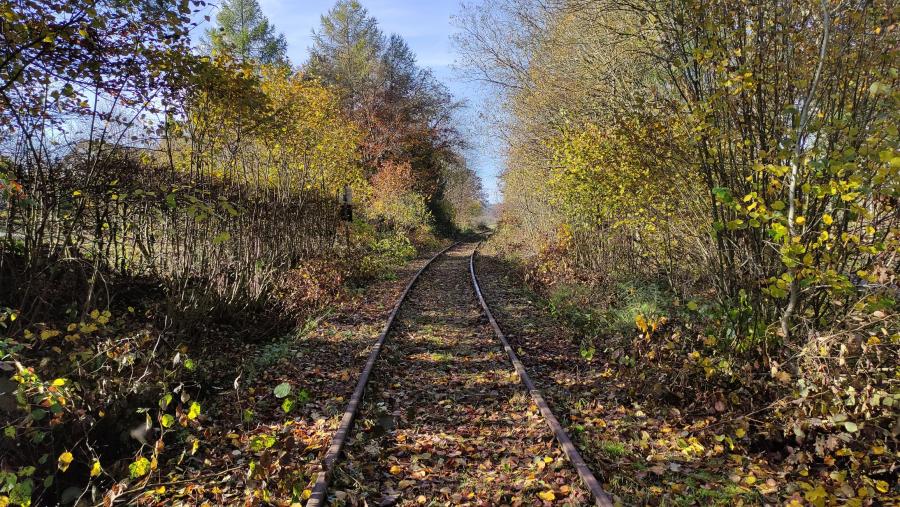 Höchstberg - Ulmen