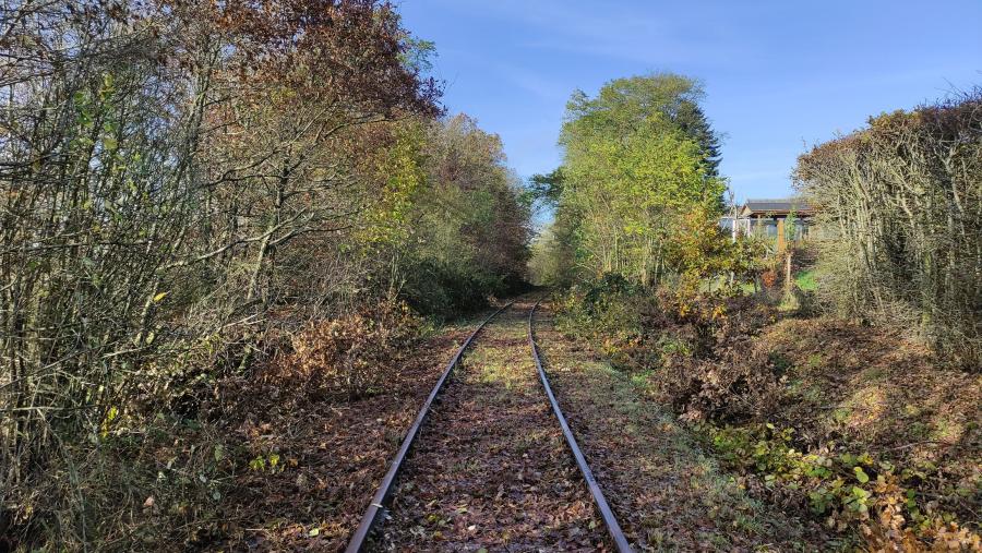 Höchstberg - Ulmen