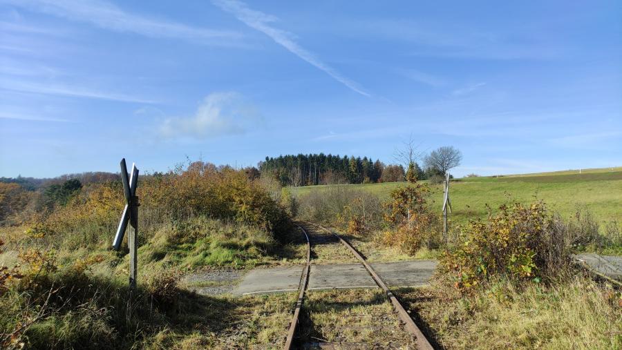 Höchstberg - Ulmen