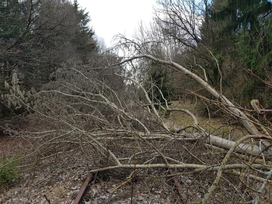 Kaisersesch - Laubach
