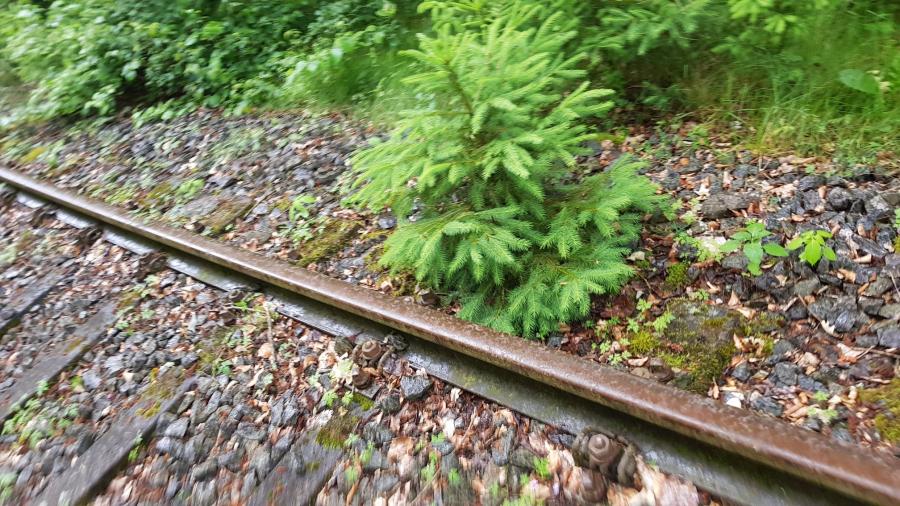 Kaisersesch - Laubach