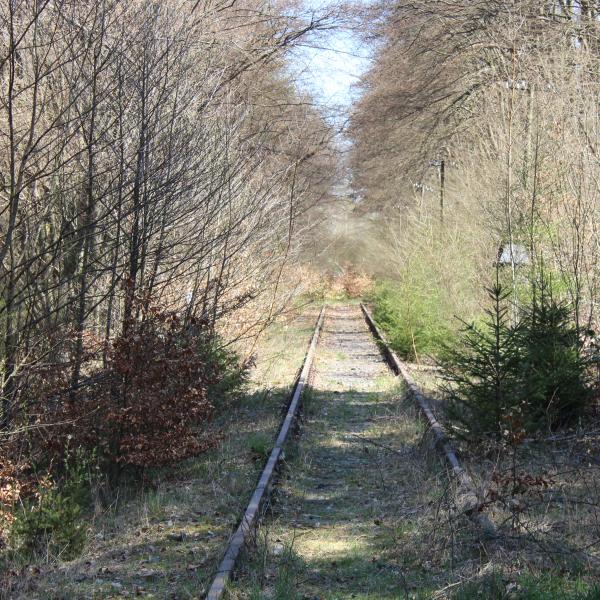 Kaisersesch - Laubach