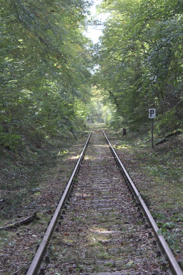 Kaisersesch - Laubach