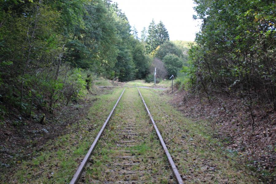 Kaisersesch - Laubach