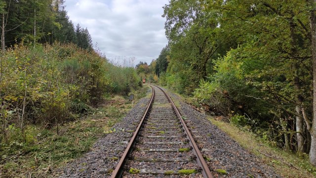 45-1_21-10-17_BrSGR_01