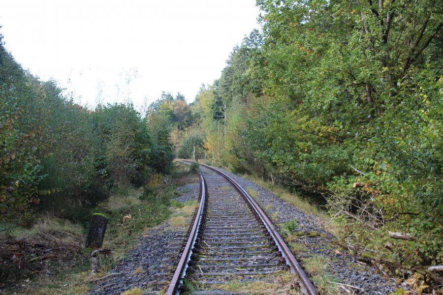 Freischnitt