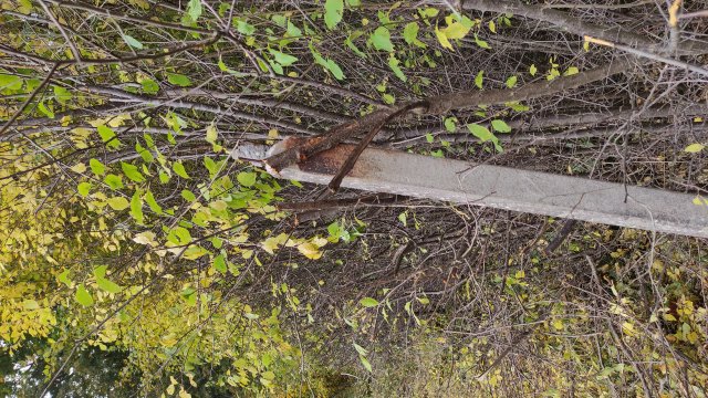 45-4_21-10-17_BrSGR_03