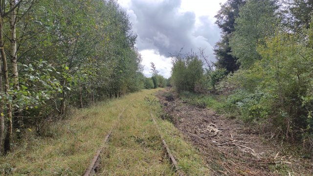 46-5_21-10-04_BrSKAI_01