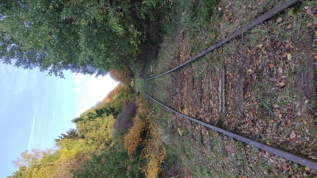 09b_ISG_BÜ1-2_IMG_20221030_113058