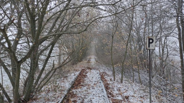 ISG_15_IMG_20221204_160520