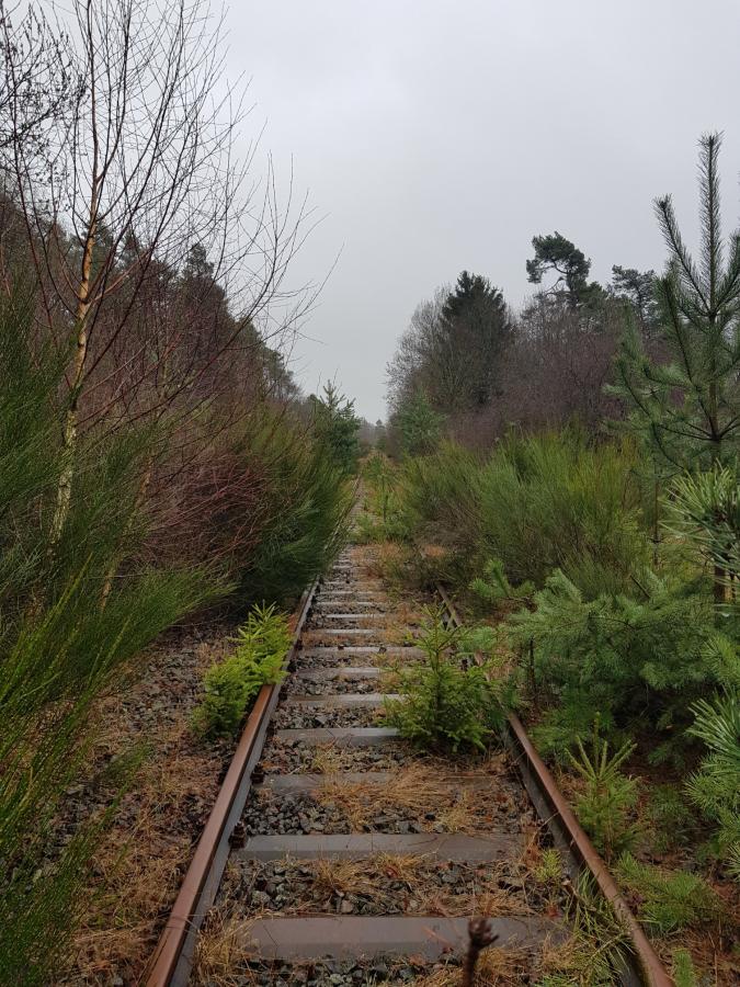 Laubach - Höchstberg