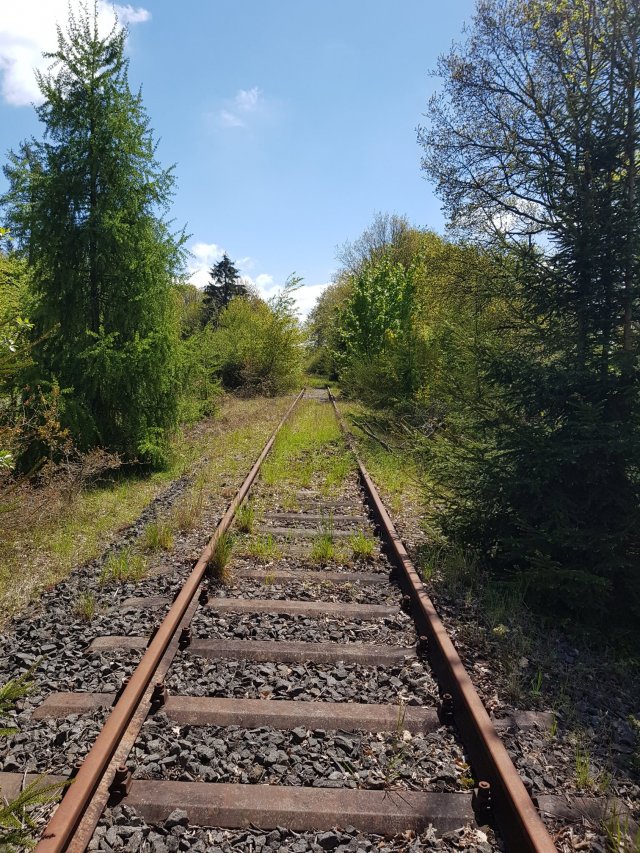 20190512_122128