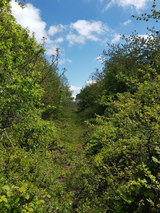 Laubach - Höchstberg