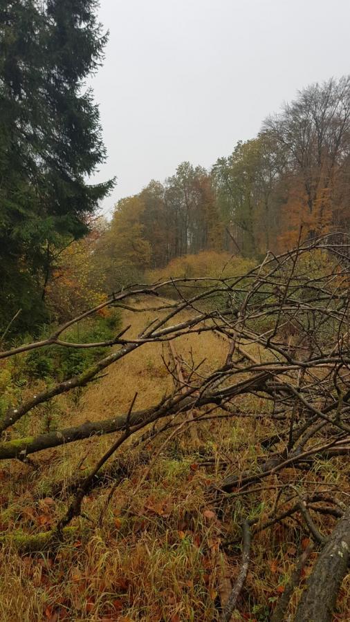 Laubach - Höchstberg
