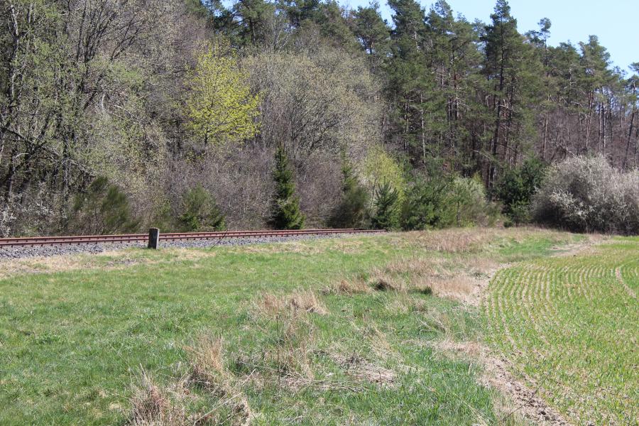 Laubach - Höchstberg