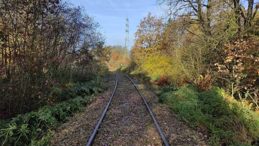 Laubach - Höchstberg