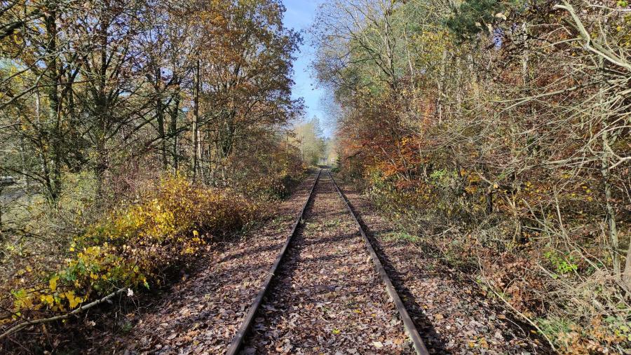 Laubach - Höchstberg