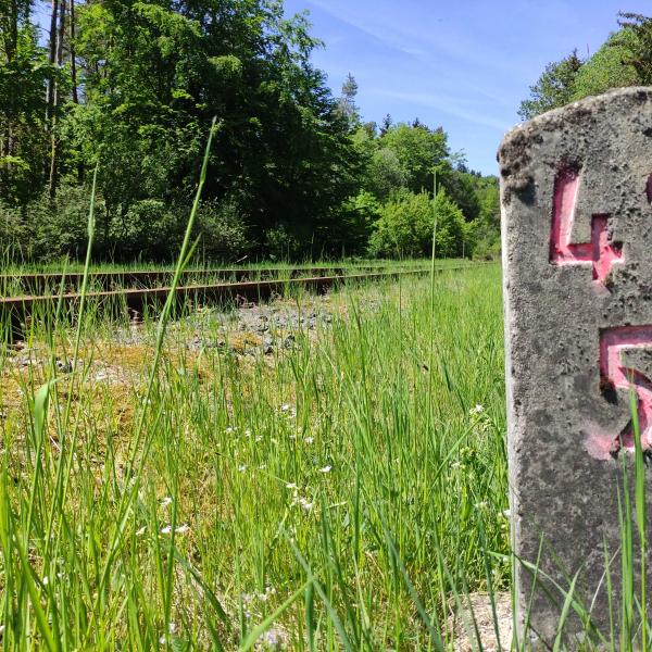 Laubach - Höchstberg