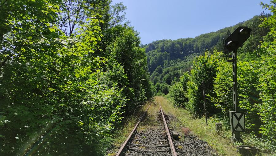 Pelm - Gerolstein