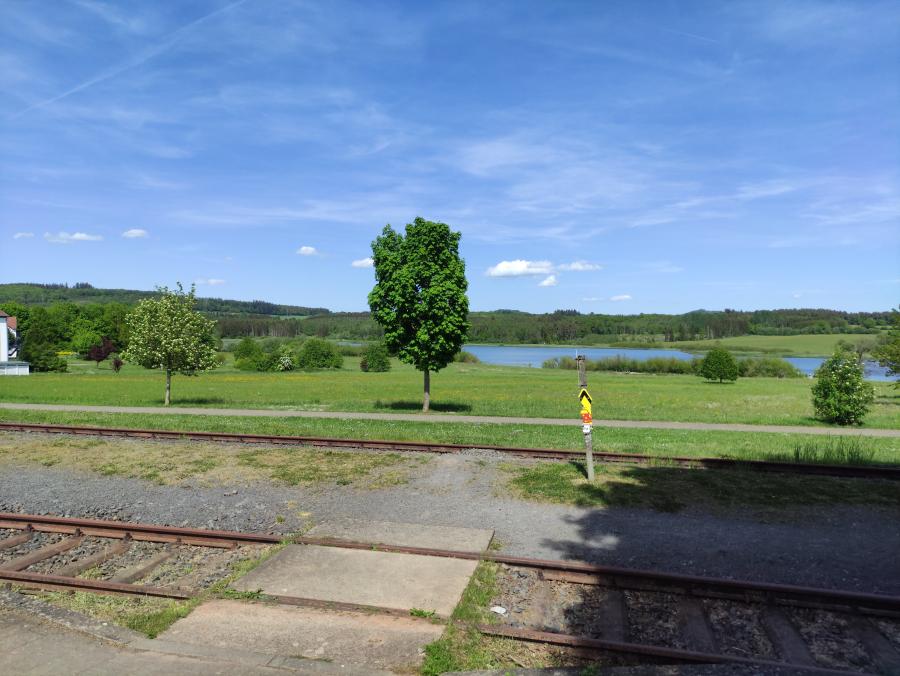 Ulmen