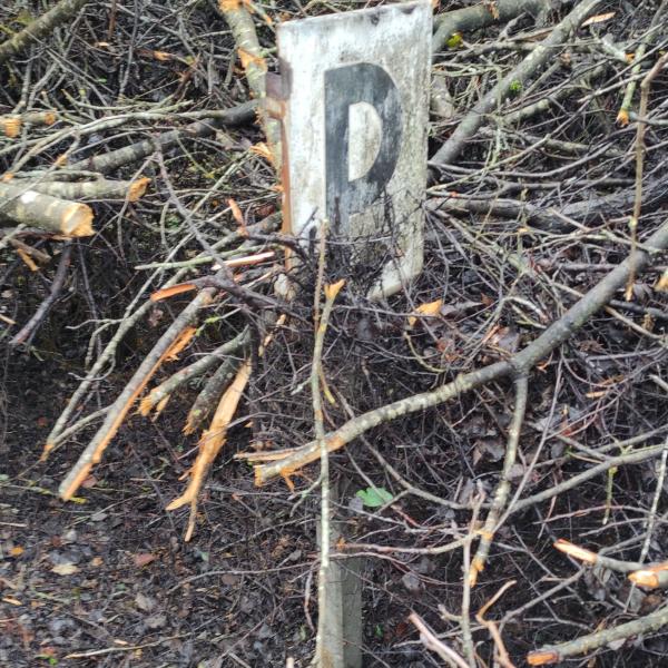 Utzerath - Darscheid