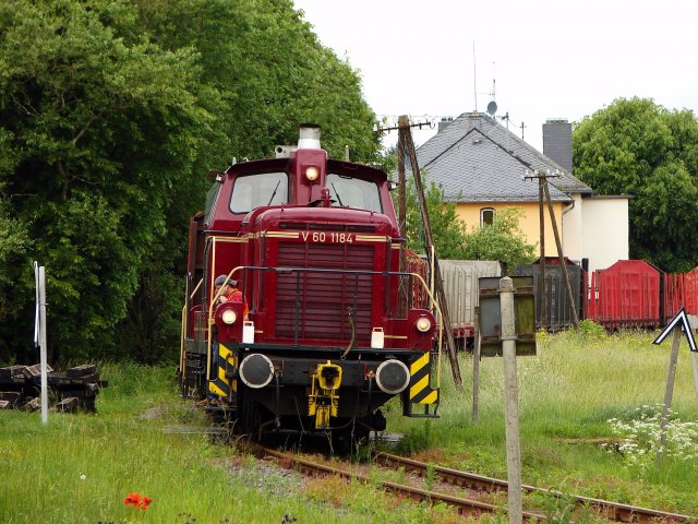 DSC02208a_Holzverkehr_Ulmen_08.06.2010